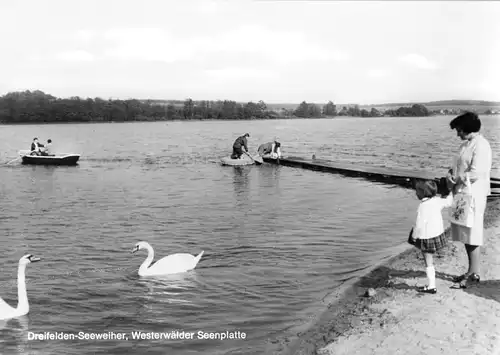 AK, Dreifelden, Seeweiher, Westerwälder Seenplatte, Strandpartie belebt, 1974