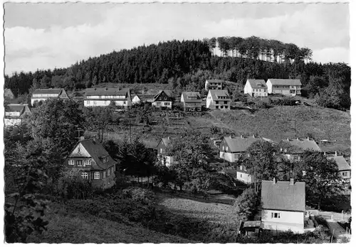 AK, Bad Grund Oberharz, Blick auf grüne Tanne, um 1965