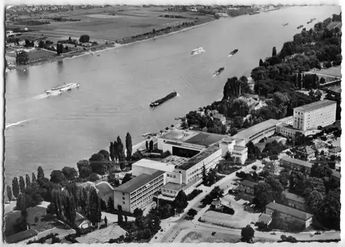 AK, Bonn, Teilansicht mit Bundeshaus, Luftbildansicht, 1964