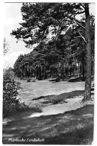 Landpststempel, Dyrotz über Nauen, o Nauen 4.1.62, Ansichtskarte