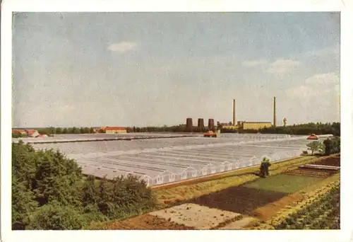 AK, Wiesmoor Ostfr., Kraftwerk mit Gewächshäusern, um 1958