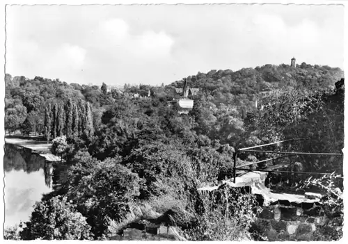 AK, Halle Saale, Blick zum Zoo-Turm, 1957