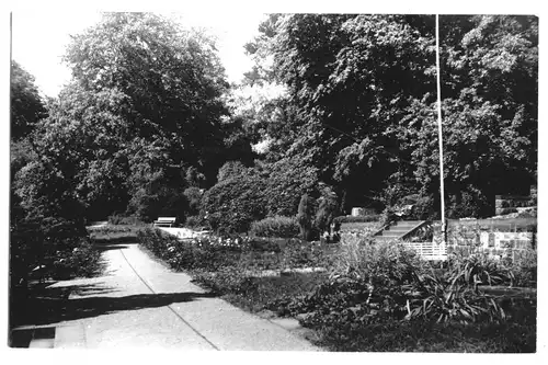 AK, Thürmsdorf Sächs. Schweiz, Park des FDGB-Heims, um 1970