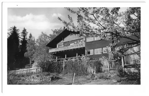 AK, Sonneberg Thür., Blockhütte, 1954