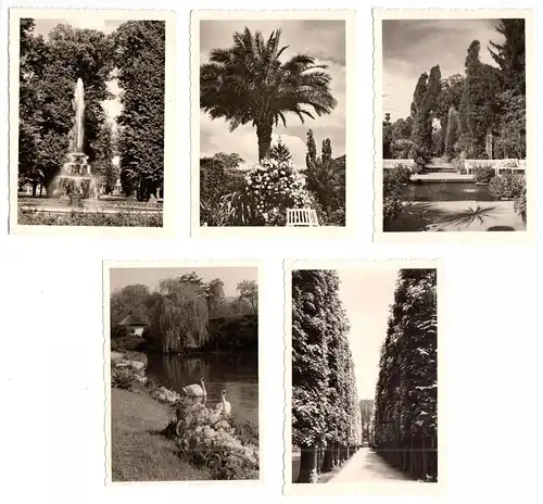 10 kleine Fotos, Bad Pyrmont, 1960er, Format: 9,1 x 6,5 cm