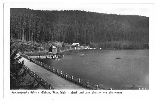 AK, Scheibe-Alsbach Thür., Stausee und Staumauer, 1952