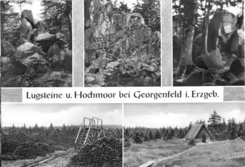 AK, Zinnwald-Georgenfeld Erzgeb., Lugsteine und Hochmoor, fünf Abb., 1972