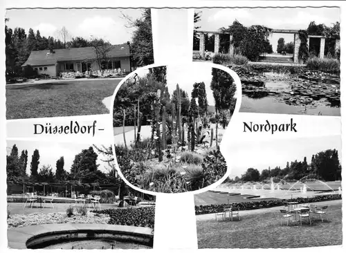 AK, Düsseldorf, Nordpark - fünf Abb., gestaltet, 1967