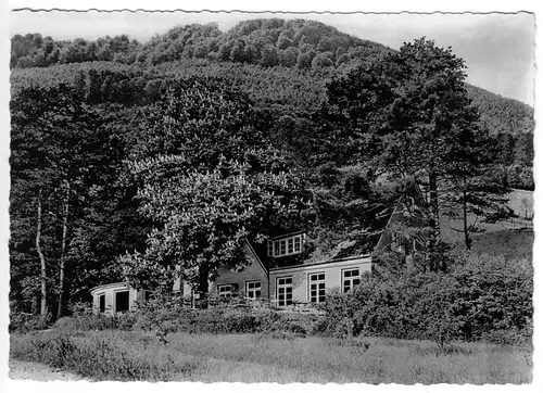 AK, Coppenbrügge am Ith, "Berggaststätte Felsenkeller", um 1960