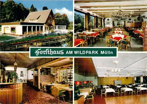 AK, Mölln in Lbg., Gaststätte "Forsthaus am Wildpark", 4 Abb., um 1980