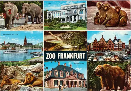 AK, Frankfurt Main, Zoo Frankfurt, neun Abb., 1974