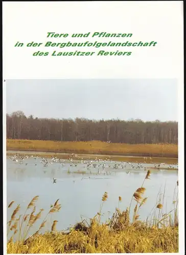 Tiere und Pflanzen im Lausitzer Revier, um 1993