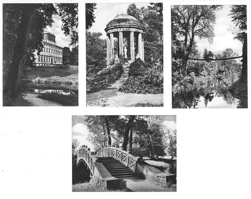 Mäppchen mit 8 kleinen Fotos, Wörlitz, Wörlitzer Park, 1965, Format 8,8 x 6,2 cm