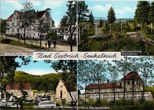 AK, Bad Seebruch - Senkelteich, vier Abb., um 1966