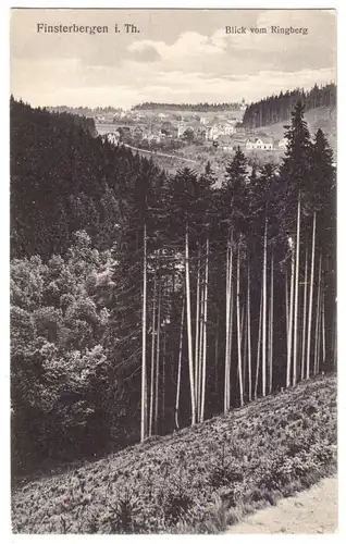 AK, Finsterbergen i. Thür., Teilansicht, Blick vom Ringberg, um 1912
