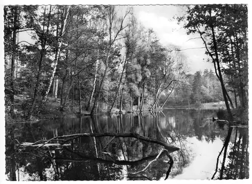 AK, Berlin Frohnau, Partie am Hubertus See, um 1959