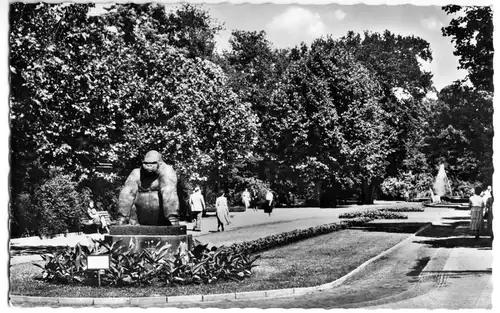 AK, Berlin Tiergarten, Zoologischer Garten, Promenade, Bobby, 1967