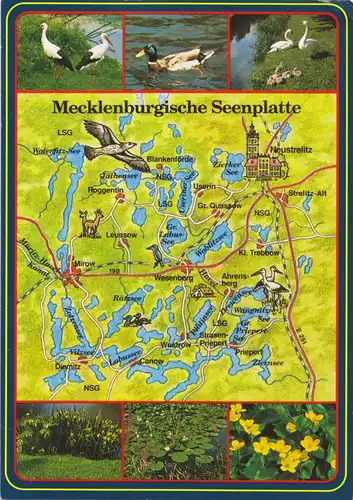 AK, Mirow, Landkarte der Meckl. Seenplatte und 6 Abb., 1994