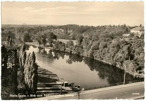 AK, Halle Saale, Blick vom Pädagogiscchen Institut auf Saale und Brücke, 1959