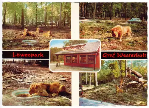 AK, Gelsenkirchen - Buer, Löwenpark Graf Westerholt, fünf Abb., 1972