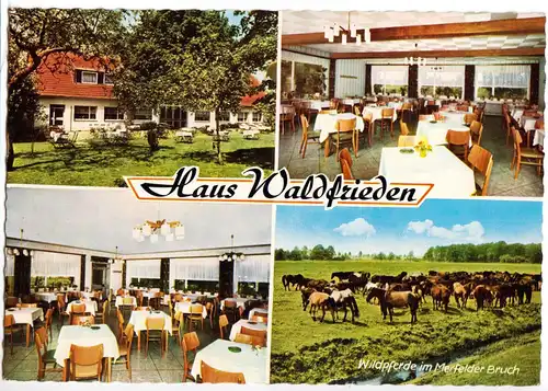 AK, Dülmen, Gasthaus Waldfrieden am Wildpark, vier Abb., 1970