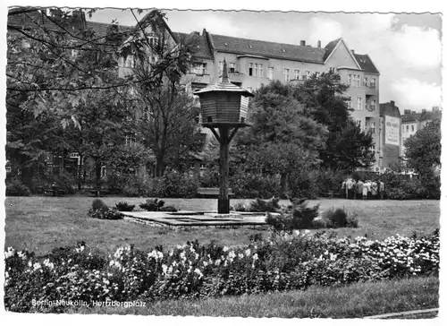 AK, Berlin Neukölln, Hertzbergplatz, um 1966