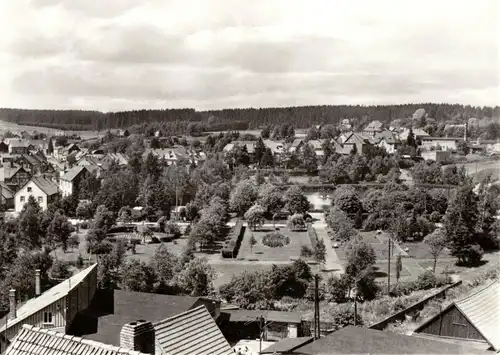 AK, Benneckenstein Harz, Teilansicht, 1972