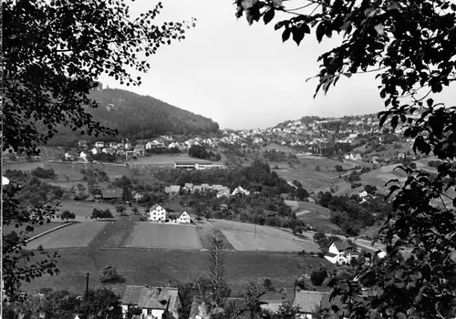 AK, Wilhelmsfeld b. Heidelberg, Gesamtansicht, 1971