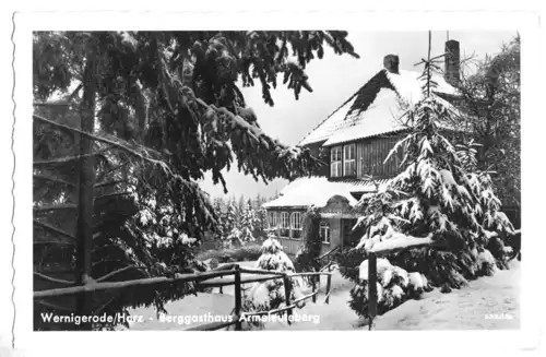 AK, Wernigerode Harz, Berggasthaus Armeleuteberg, Winteransicht, 1955