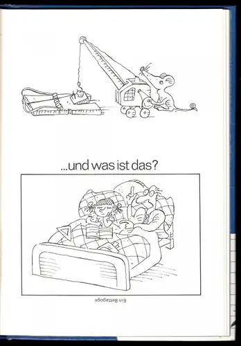 Otto, Lothar; Ottografieh - Ein Gans prima Buch, Cartoons, 1988