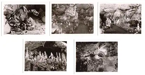 Mäppchen mit 10 kleinen Fotos, Erpfingen, Bären-Karlshöhle, Format: 9 x 6,6 cm