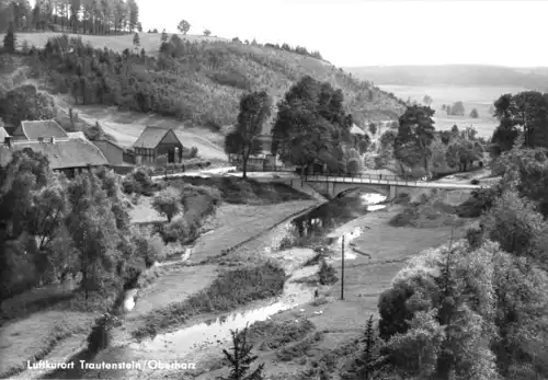AK, Trautenstein Oberharz, Teilansicht mit Brücke, 1980