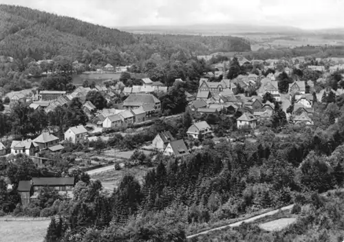 AK, Georgenthal Thür. Wald, Teilansicht, 1967