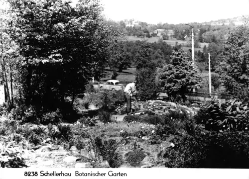 AK, Schellerhau Erzgeb., Botanischer Garten, 1972