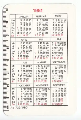 Kalender Scheckkartenformat, 1981, Werbung: VEB Salzenia, Schönebeck-Salzelmen