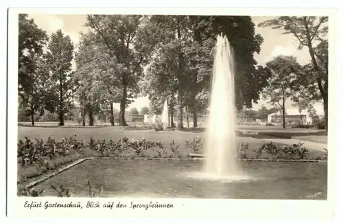 AK, Erfurt, Gartenschau, Blick auf den Springbrunnen, 1950