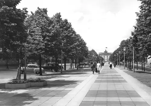 AK, Berlin Mitte, Straße Unter den Linden mit Brandenburger Tor, 1966