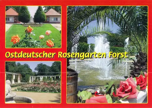 AK, Forst Lausitz, Ostdeutscher Rosengarten, drei Abb., um 2000