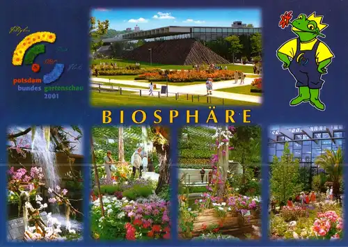 AK, Potsdam, Bundesgartenschau 2001, Version 4, Biosphäre, fünf Abb.