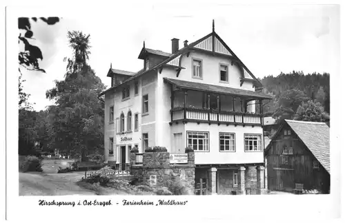 AK, Kurort Hirschsprung Osterzgeb., Ferienheim "Waldhaus", 1955