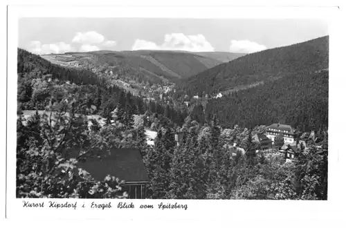 AK, Kurort Kipsdorf Erzgeb., Blick vom Spitzberg, 1960