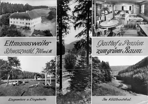 AK, Ettmannsweiler Schwarzwald, Gasthof und Pension zum grünen Baum, um 1975