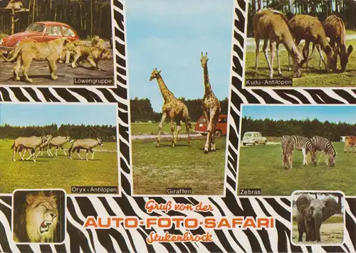 AK, Stukenbrock i.d. Senne, Grosswild-Safari, sieben Abb., gestaltet, 1972