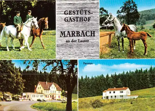 AK, Gomadingen-Marbach a.d. Lauter, Gestütsgasthof, vier Abb., um 1980