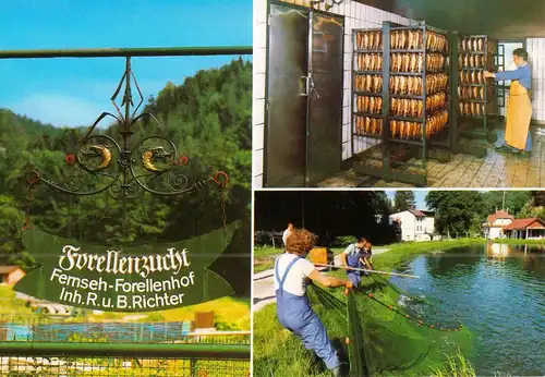 AK, Baden-Baden, Fernseh-Forellenhof, drei Abb., um 1995