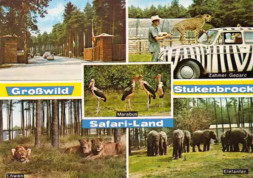 AK, Stukenbrock i.d. Senne, Grosswild-Safari, fünf Abb., 1970
