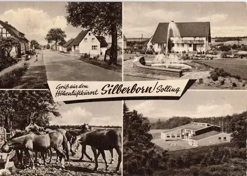 AK, Holzminden, OT Silberborn im Solling, vier Abb., 1966