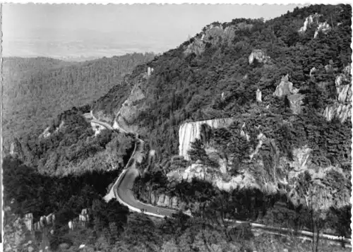 AK, Thale Harz, Steinbachtal, Verkehrsstraße, 1966