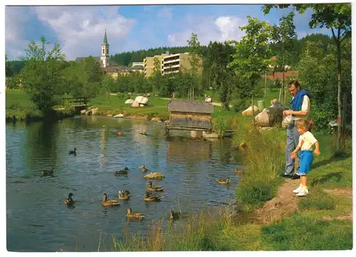 AK, Schönwald Schwarzwald, Partie am Teich, 1992