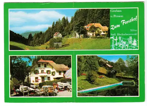 AK, Forsthof Post Häg, Gasthaus und Pension "Zum Forsthof", drei Abb., um 1976
